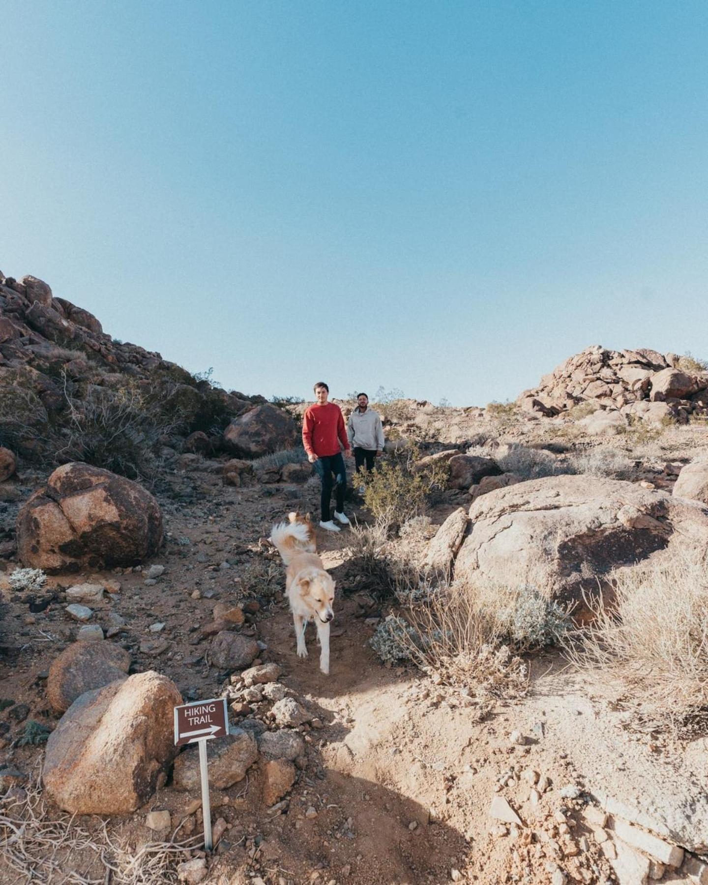 Prism By The Cohost Company Villa Joshua Tree Eksteriør billede